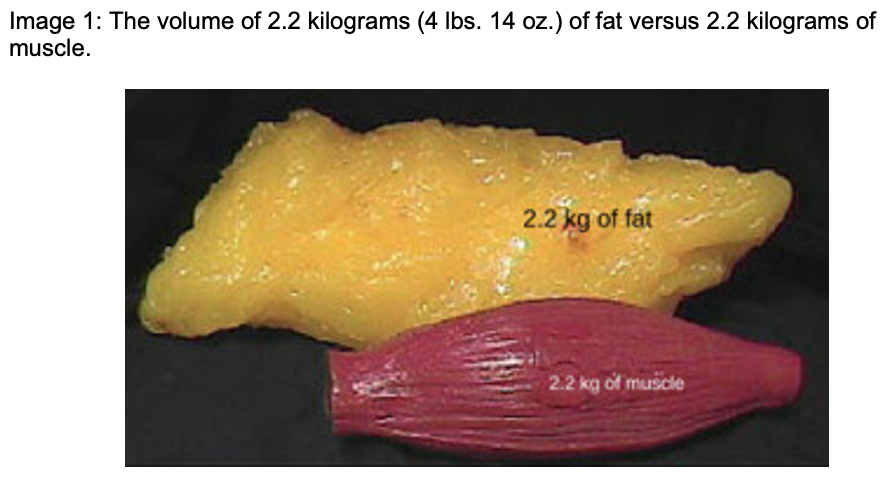 1-kg-de-graisse-et-1-kg-de-muscle-qu-est-ce-que-a-repr-sente-we